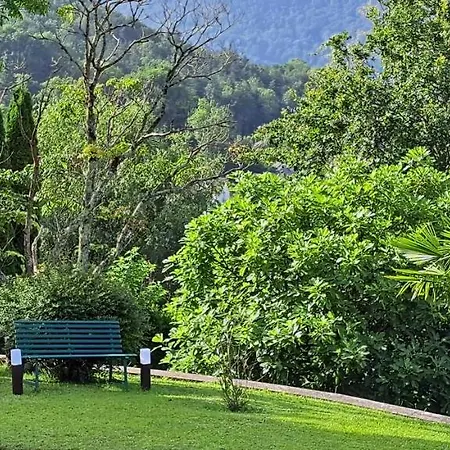 Jardin Des Chats Bed & Breakfast *