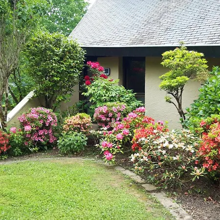 Jardin Des Chats לינה וארוחת בוקר